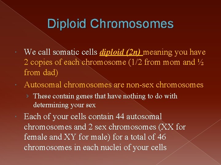 Diploid Chromosomes We call somatic cells diploid (2 n) meaning you have 2 copies