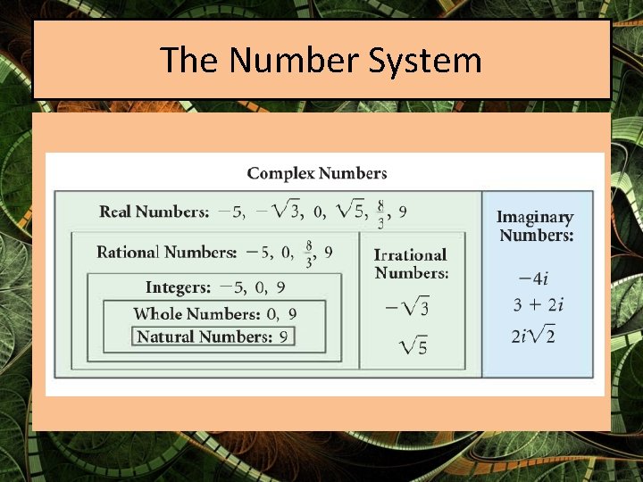 The Number System 