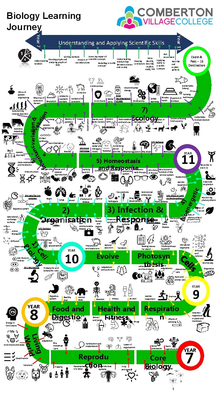 Biology Learning Journey Risk Assessment Applying Describe maths to and scientific explain concepts patterns