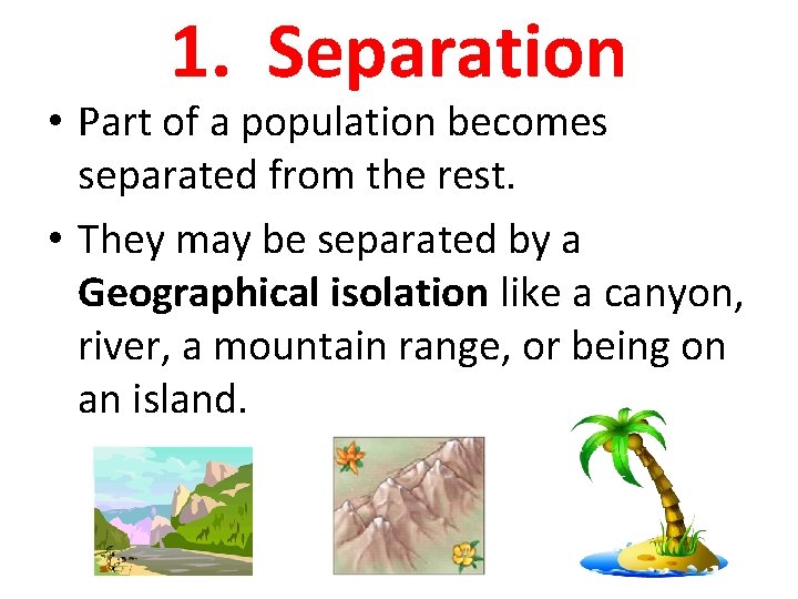 1. Separation • Part of a population becomes separated from the rest. • They