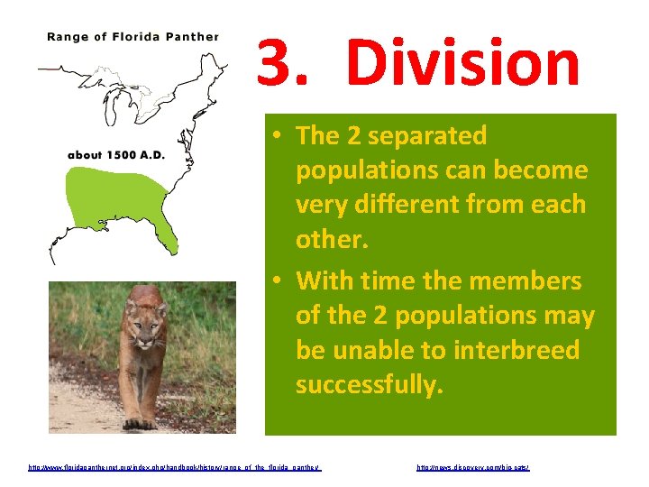 3. Division • The 2 separated populations can become very different from each other.