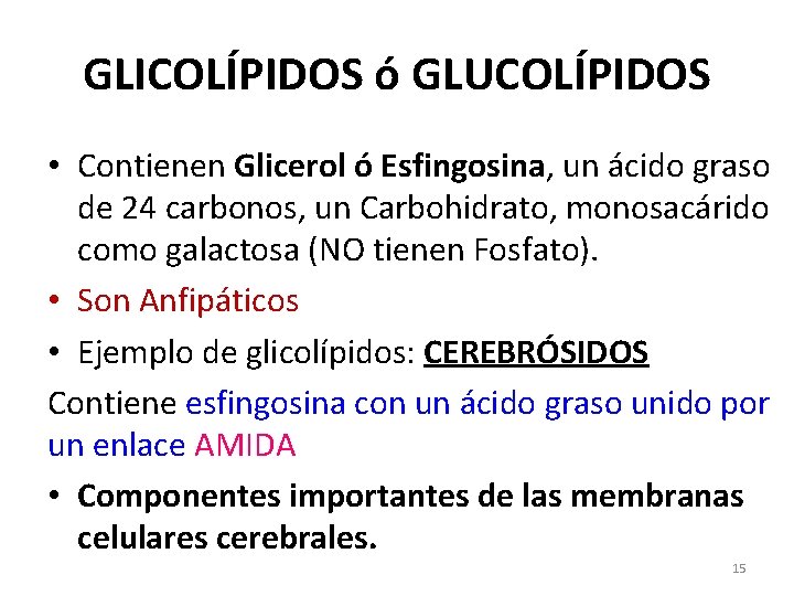 GLICOLÍPIDOS ó GLUCOLÍPIDOS • Contienen Glicerol ó Esfingosina, un ácido graso de 24 carbonos,