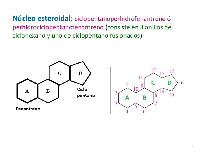 Núcleo esteroidal: ciclopentanoperhidrofenantreno ó perhidrociclopentanofenantreno (consiste en 3 anillos de ciclohexano y uno de