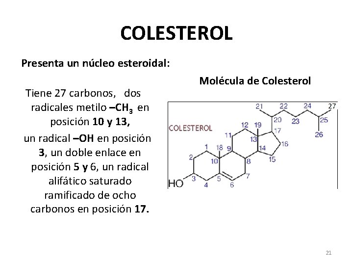 COLESTEROL Presenta un núcleo esteroidal: Tiene 27 carbonos, dos radicales metilo –CH 3 en