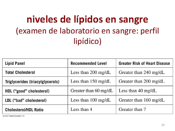 niveles de lípidos en sangre (examen de laboratorio en sangre: perfil lipídico) 22 
