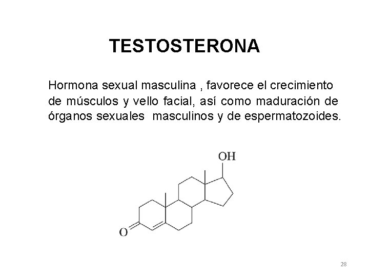 TESTOSTERONA Hormona sexual masculina , favorece el crecimiento de músculos y vello facial, así