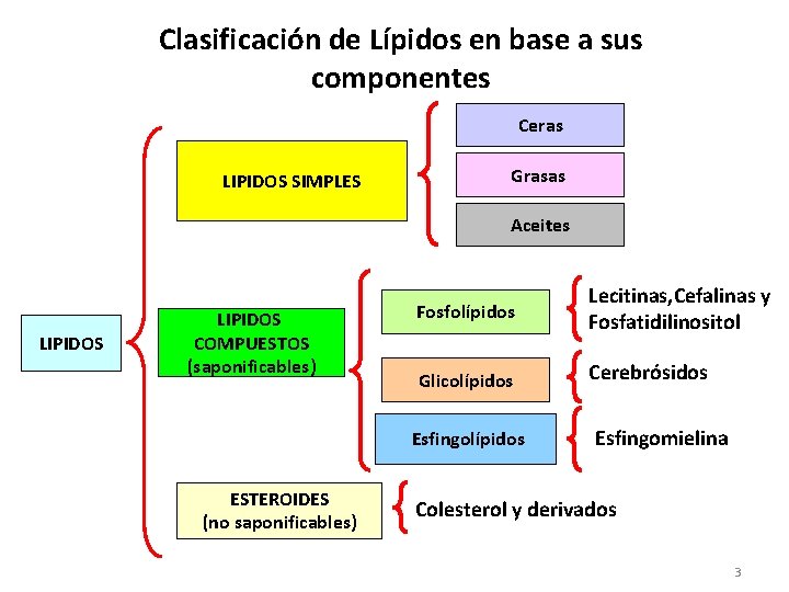 Clasificación de Lípidos en base a sus componentes Ceras LIPIDOS SIMPLES Grasas Aceites LIPIDOS