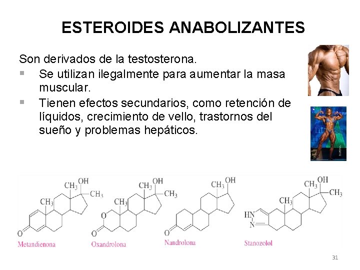 ESTEROIDES ANABOLIZANTES Son derivados de la testosterona. § Se utilizan ilegalmente para aumentar la