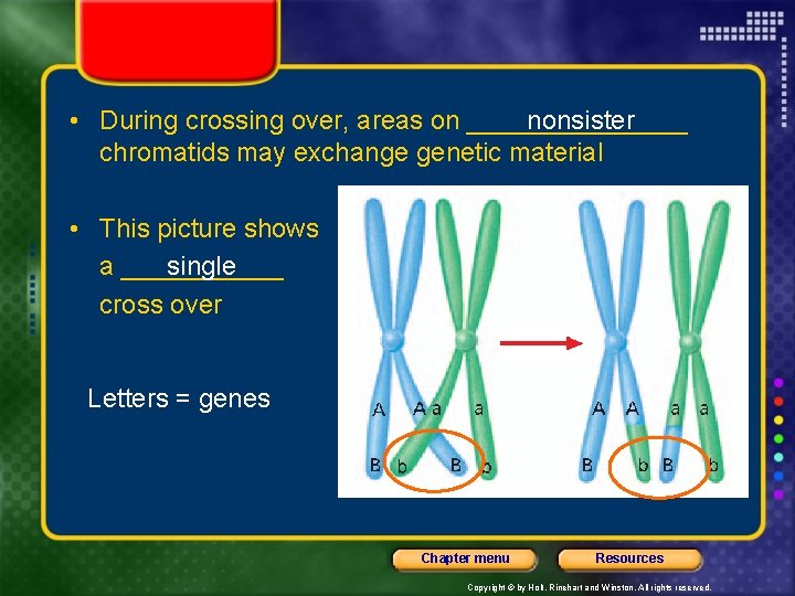 nonsister • During crossing over, areas on ________ chromatids may exchange genetic material •