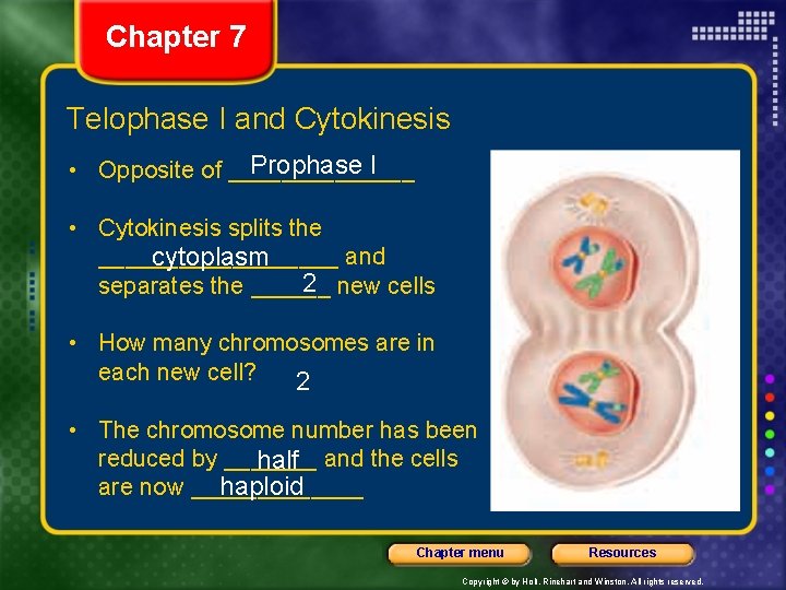 Chapter 7 Telophase I and Cytokinesis Prophase I • Opposite of _______ • Cytokinesis