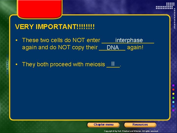 VERY IMPORTANT!!!! • These two cells do NOT enter ________ interphase again and do