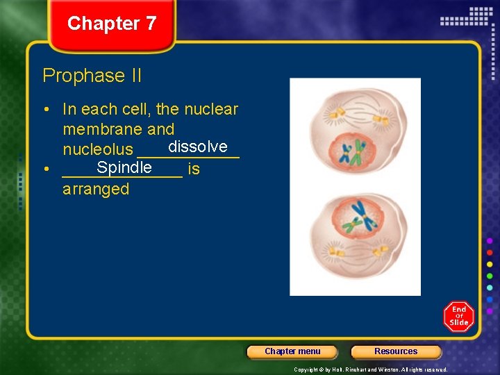 Chapter 7 Prophase II • In each cell, the nuclear membrane and dissolve nucleolus