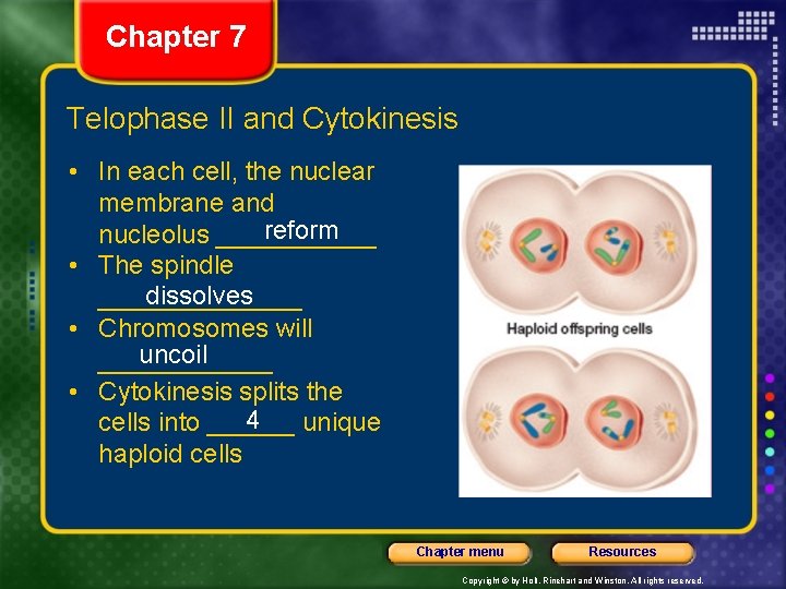 Chapter 7 Telophase II and Cytokinesis • In each cell, the nuclear membrane and