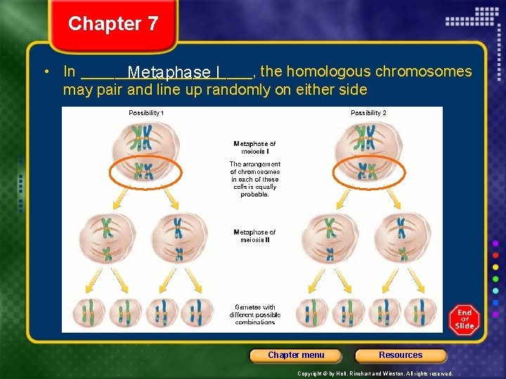 Chapter 7 • In __________, the homologous chromosomes Metaphase I may pair and line