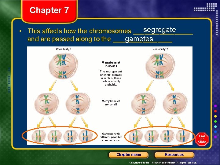Chapter 7 segregate • This affects how the chromosomes ________ gametes and are passed