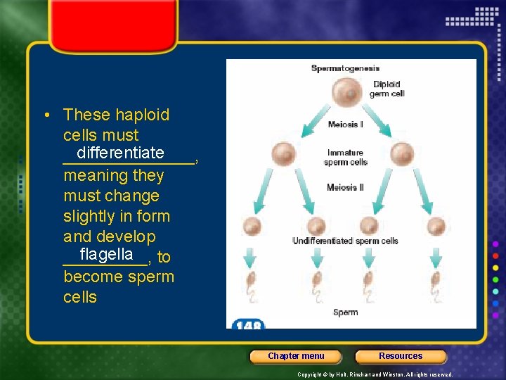  • These haploid cells must differentiate _______, meaning they must change slightly in