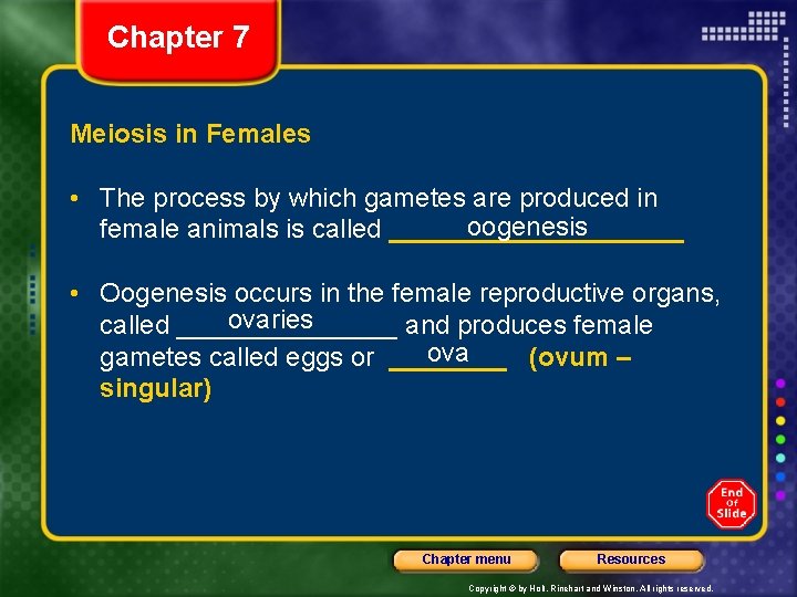 Chapter 7 Meiosis in Females • The process by which gametes are produced in