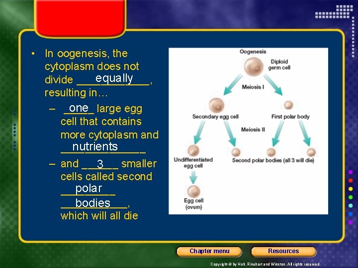  • In oogenesis, the cytoplasm does not equally divide ______, resulting in… one
