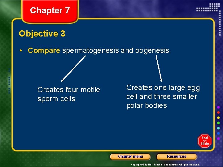 Chapter 7 Objective 3 • Compare spermatogenesis and oogenesis. Creates four motile sperm cells