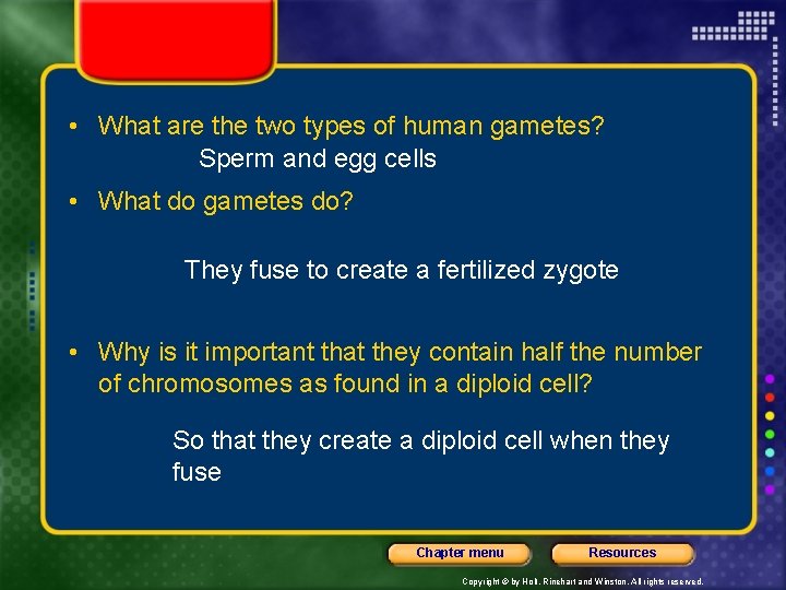  • What are the two types of human gametes? Sperm and egg cells