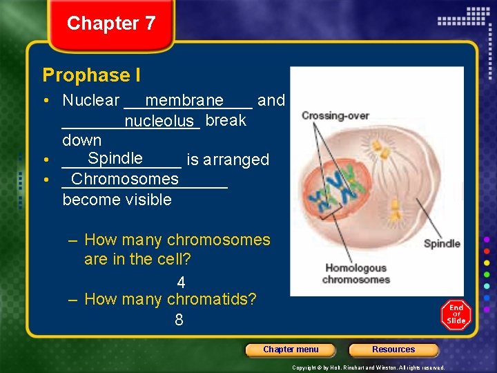 Chapter 7 Prophase I • Nuclear _______ membrane and ________ nucleolus break down Spindle