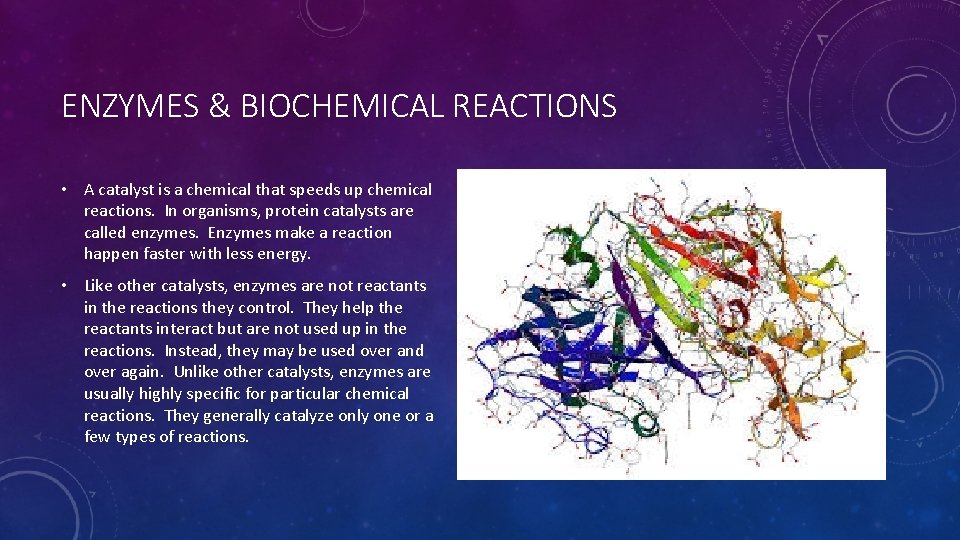 ENZYMES & BIOCHEMICAL REACTIONS • A catalyst is a chemical that speeds up chemical