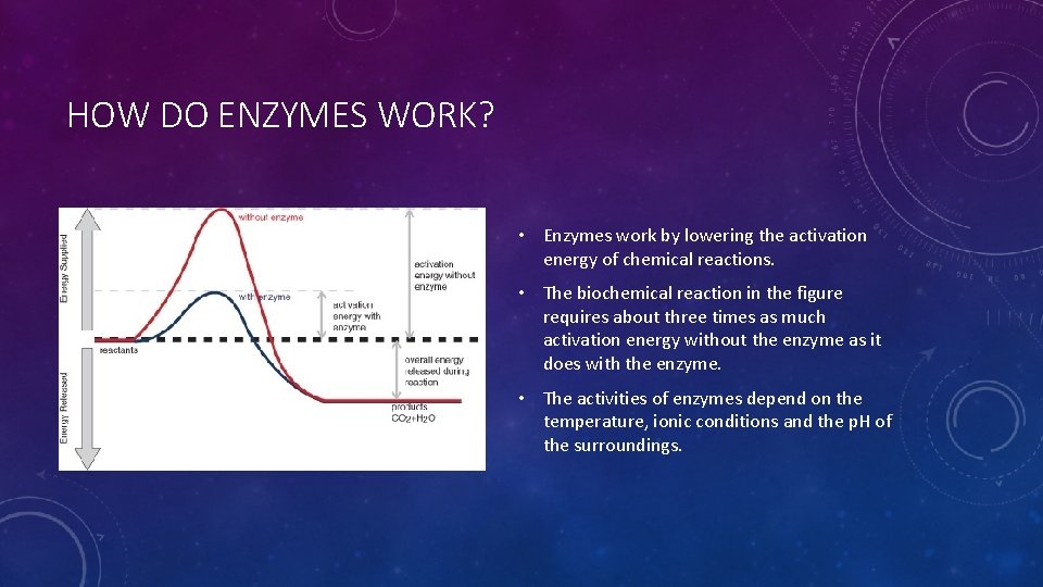 HOW DO ENZYMES WORK? • Enzymes work by lowering the activation energy of chemical