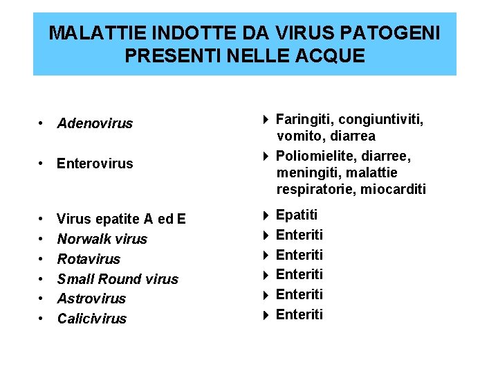 MALATTIE INDOTTE DA VIRUS PATOGENI PRESENTI NELLE ACQUE • Adenovirus • Enterovirus • •