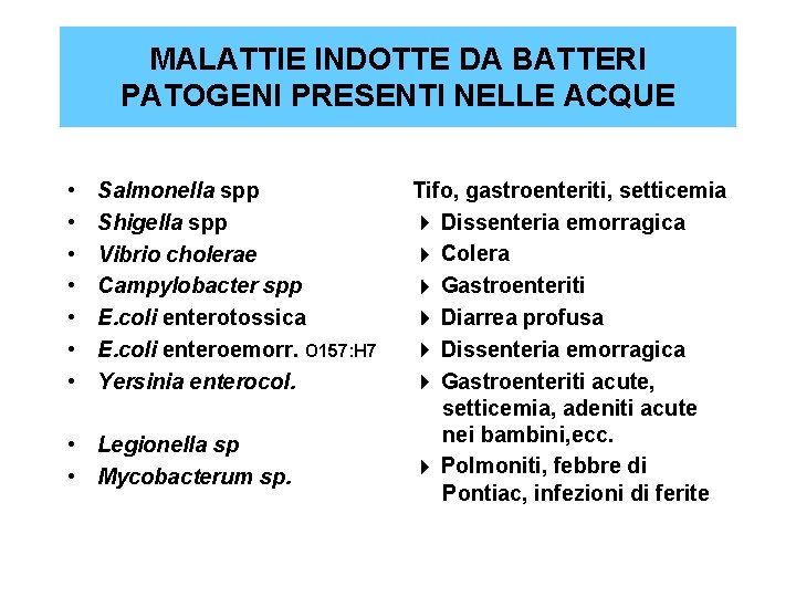 MALATTIE INDOTTE DA BATTERI PATOGENI PRESENTI NELLE ACQUE • • Salmonella spp Shigella spp