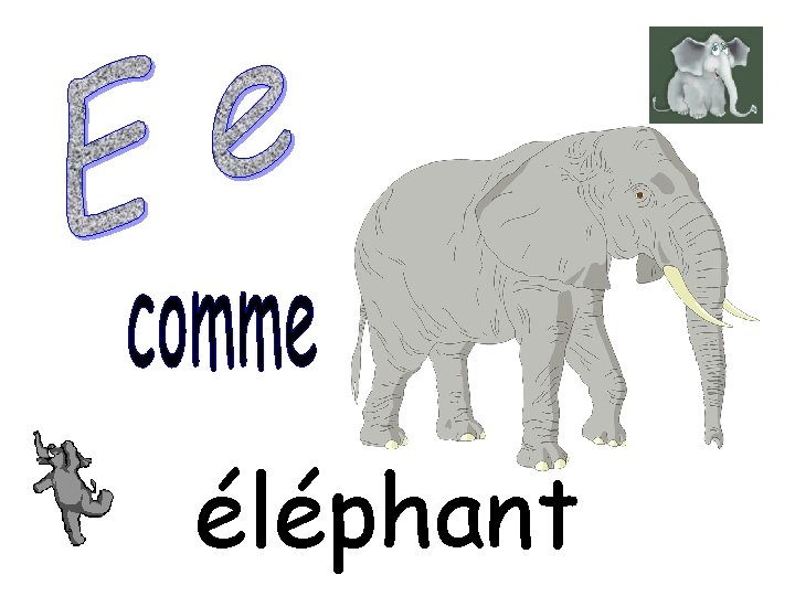 éléphant 