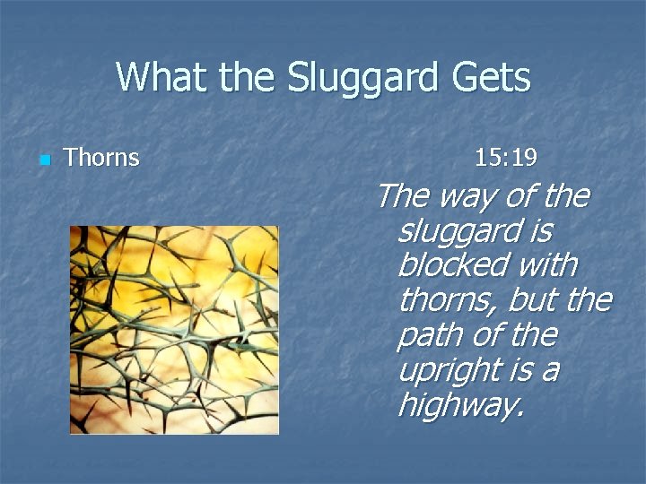 What the Sluggard Gets n Thorns 15: 19 The way of the sluggard is