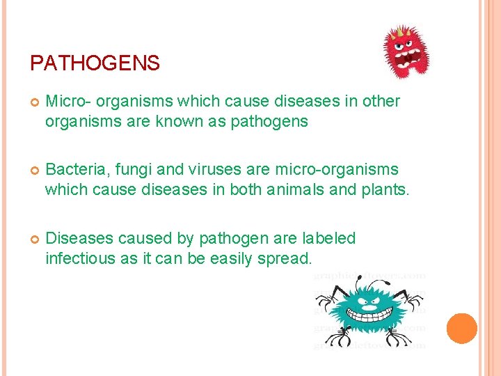 PATHOGENS Micro- organisms which cause diseases in other organisms are known as pathogens Bacteria,