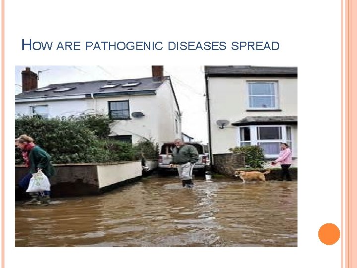 HOW ARE PATHOGENIC DISEASES SPREAD 