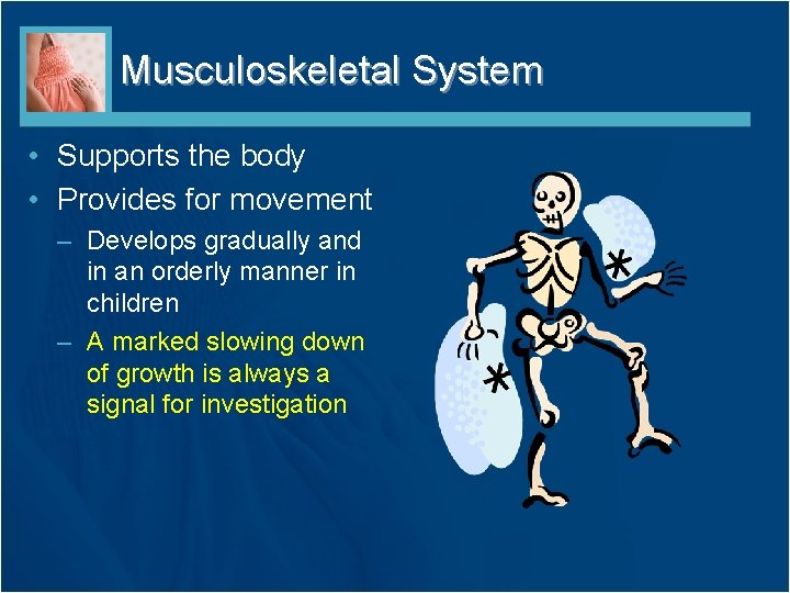 Musculoskeletal System • Supports the body • Provides for movement – Develops gradually and
