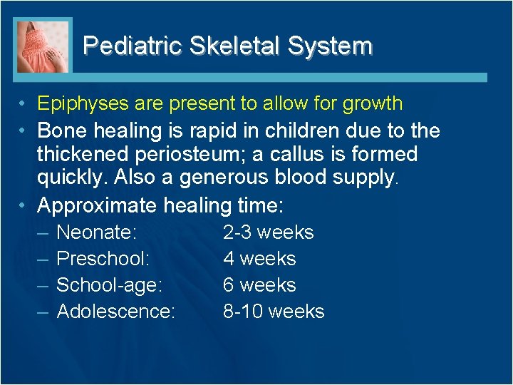 Pediatric Skeletal System • Epiphyses are present to allow for growth • Bone healing
