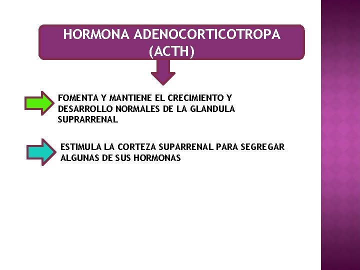 HORMONA ADENOCORTICOTROPA (ACTH) FOMENTA Y MANTIENE EL CRECIMIENTO Y DESARROLLO NORMALES DE LA GLANDULA