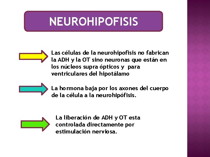 NEUROHIPOFISIS Las células de la neurohipofisis no fabrican la ADH y la OT sino