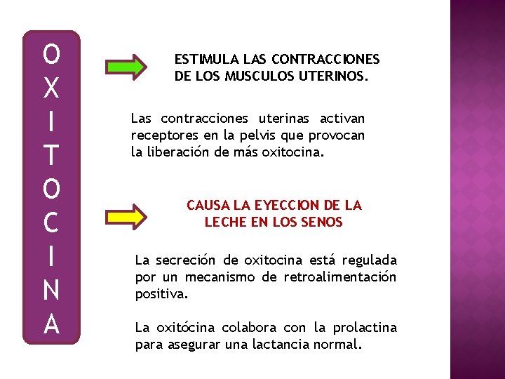 O X I T O C I N A ESTIMULA LAS CONTRACCIONES DE LOS