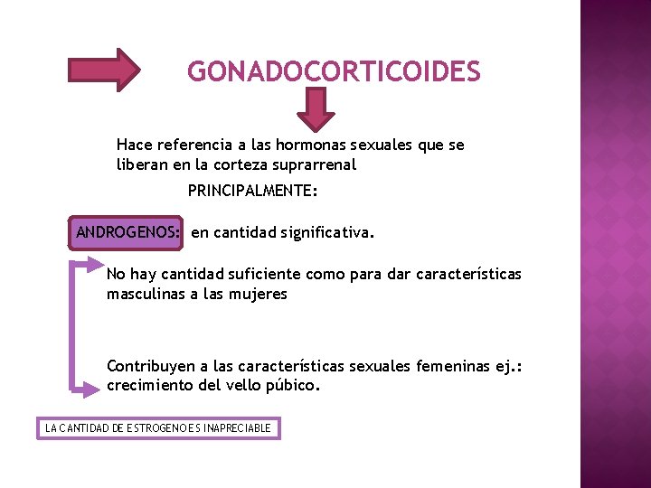 GONADOCORTICOIDES Hace referencia a las hormonas sexuales que se liberan en la corteza suprarrenal