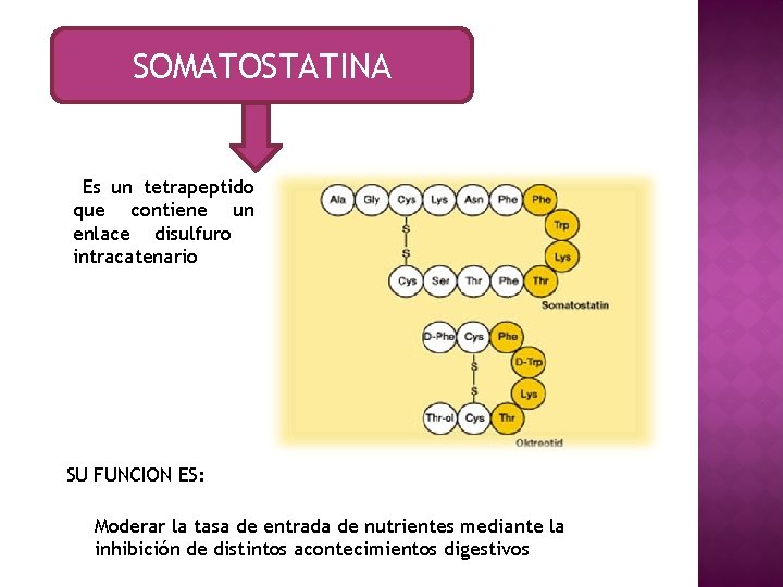 SOMATOSTATINA Es un tetrapeptido que contiene un enlace disulfuro intracatenario SU FUNCION ES: Moderar