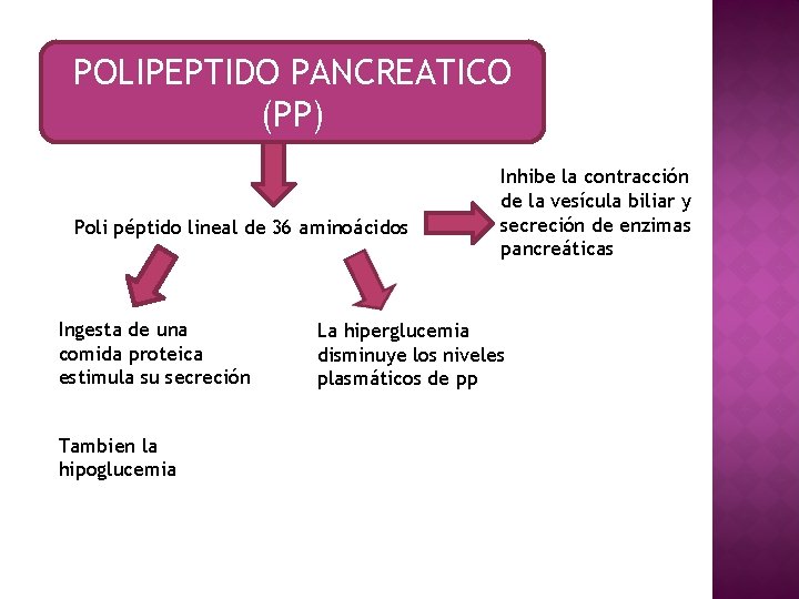 POLIPEPTIDO PANCREATICO (PP) Poli péptido lineal de 36 aminoácidos Ingesta de una comida proteica