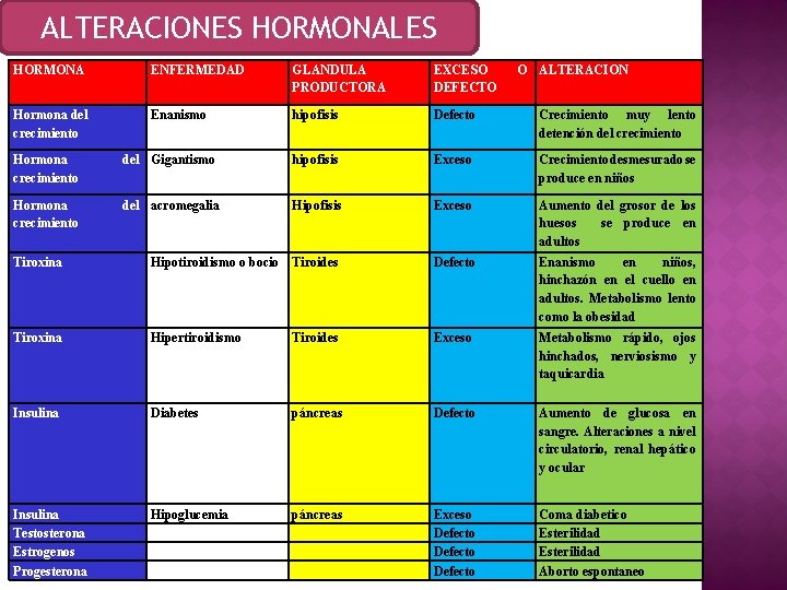 ALTERACIONES HORMONALES HORMONA ENFERMEDAD GLANDULA PRODUCTORA EXCESO DEFECTO O ALTERACION Hormona del crecimiento Enanismo