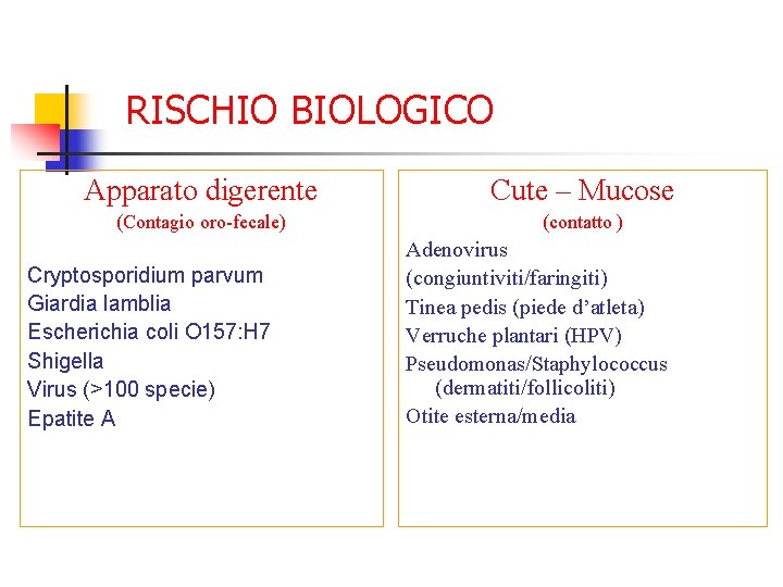 RISCHIO BIOLOGICO Apparato digerente Cute – Mucose (Contagio oro-fecale) (contatto ) Cryptosporidium parvum Giardia