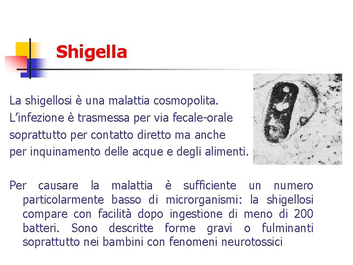 Shigella La shigellosi è una malattia cosmopolita. L’infezione è trasmessa per via fecale-orale soprattutto