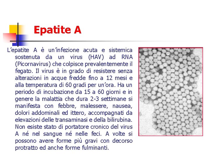 Epatite A L’epatite A è un’infezione acuta e sistemica sostenuta da un virus (HAV)