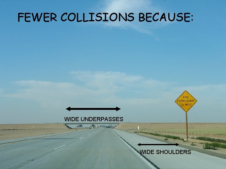 FEWER COLLISIONS BECAUSE: WIDE UNDERPASSES WIDE SHOULDERS 