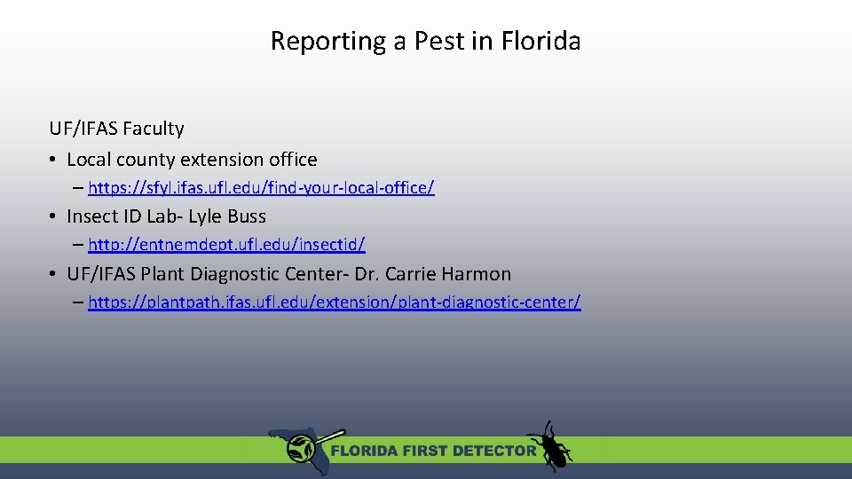 Reporting a Pest in Florida UF/IFAS Faculty • Local county extension office – https: Reporting a Pest in Florida UF/IFAS Faculty • Local county extension office – https: