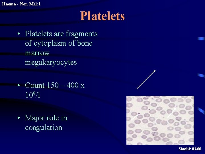 Haema - Non Mal: 1 Platelets • Platelets are fragments of cytoplasm of bone