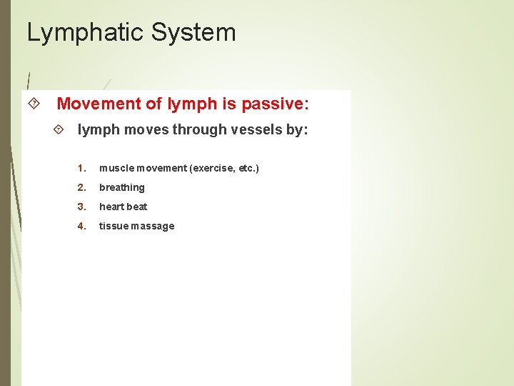 Lymphatic System Movement of lymph is passive: lymph moves through vessels by: 1. muscle