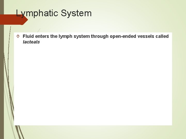 Lymphatic System Fluid enters the lymph system through open-ended vessels called lacteals 